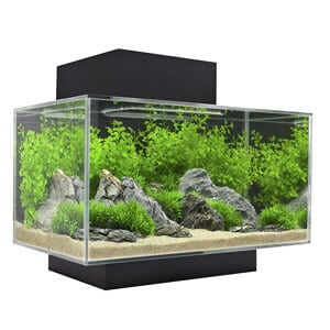 Fluval Edge -akvaario