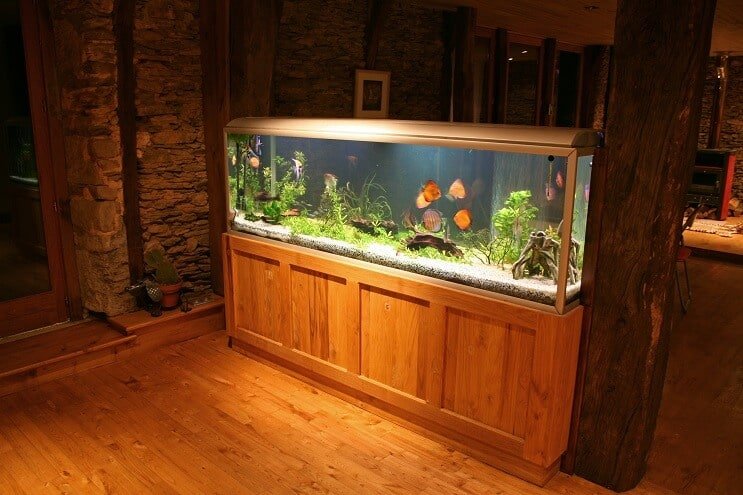 Discus Tank UV-sterilointilaite