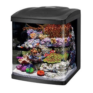 Coralife Nano Cube -säiliö