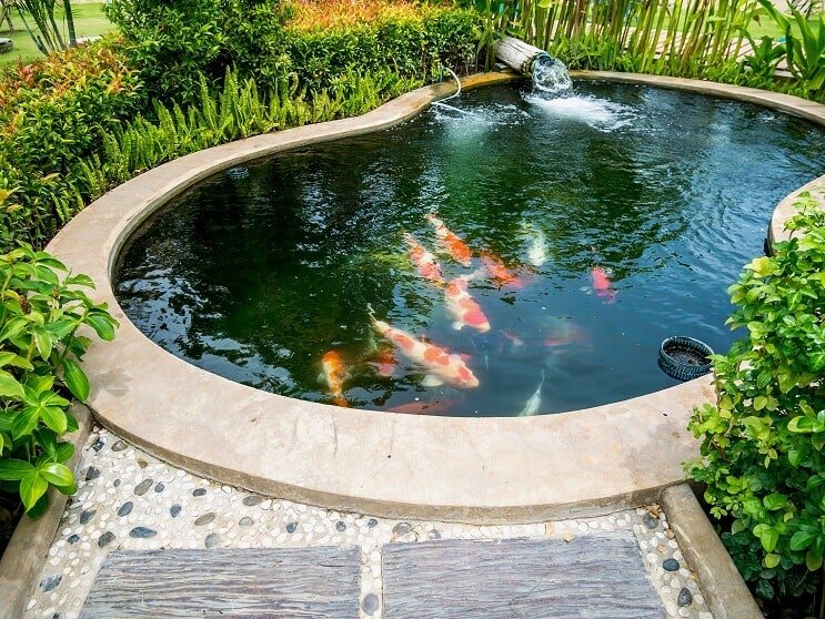 Koi-lampivarusteet