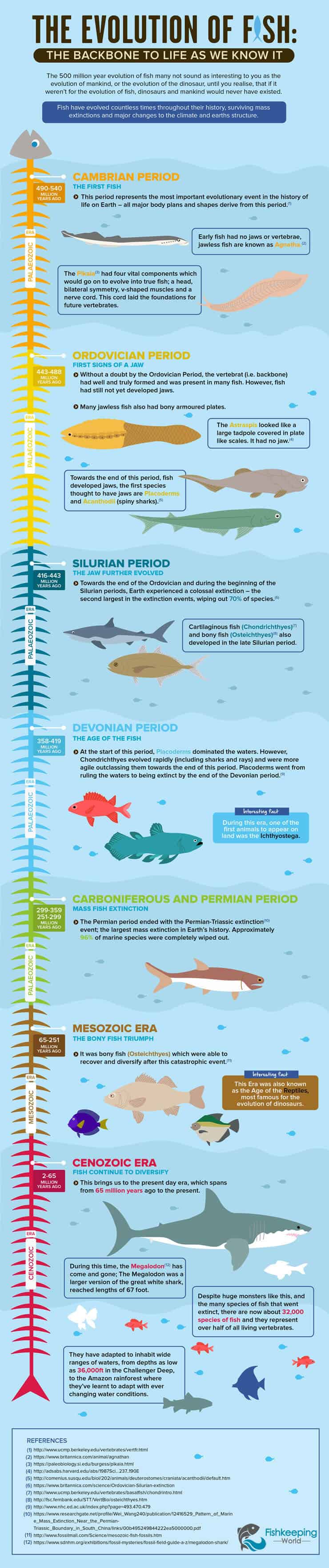 Kala-infografian kehitys