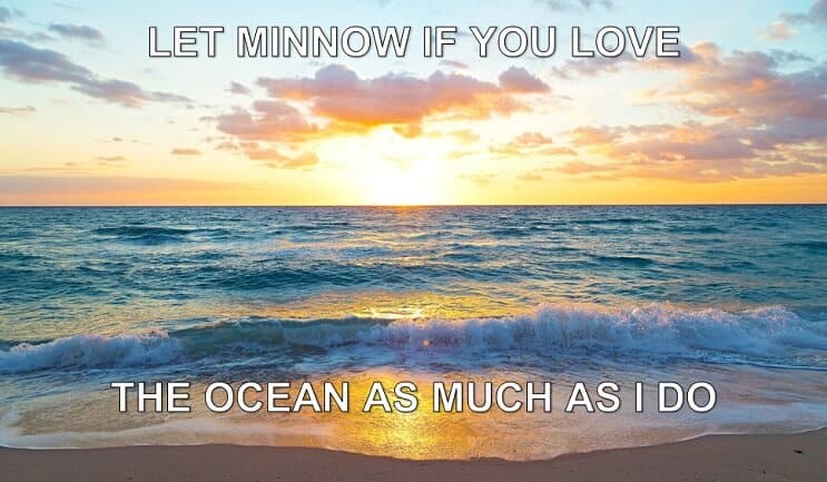 Anna Minnow