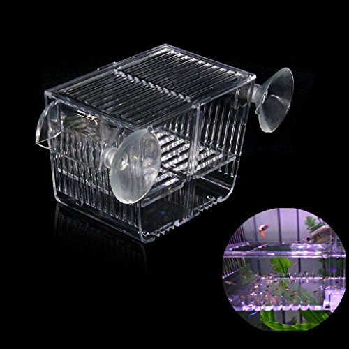 boxtech Aquarium Fish Tank Hatchery Inkubaattorin jalostuslaatikko, akryyli valkoinen kasvattajan eristysjakajan siitoslaatikot Lisävaruste Pienet vauvan kalat Katkarapu Clownfish Guppy (5.2x2.7x2.9 '')