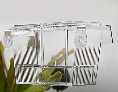 PETS ISLAND -akvaariokalojen jalostuslaatikot Double Guppies -siitosinkubaattorin eristyslaatikko (7,7 tuumaa)