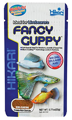 Hikari Tropical Fancy Guppy -kalaravintola, 22 g (0,77 oz)